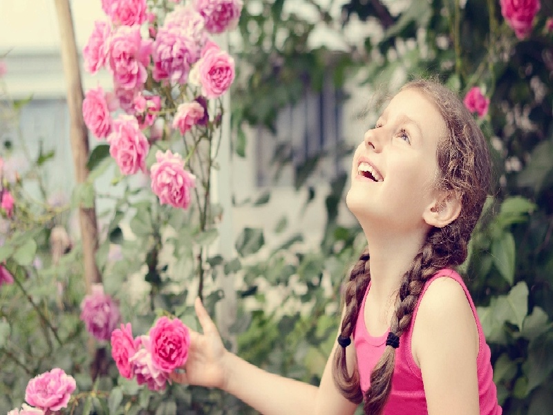 王晨露做试管(男性染色体检查费用)